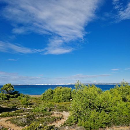 Villa Maria In Puglia Con Pineta Vicino Al Mare Torre Suda Exterior photo