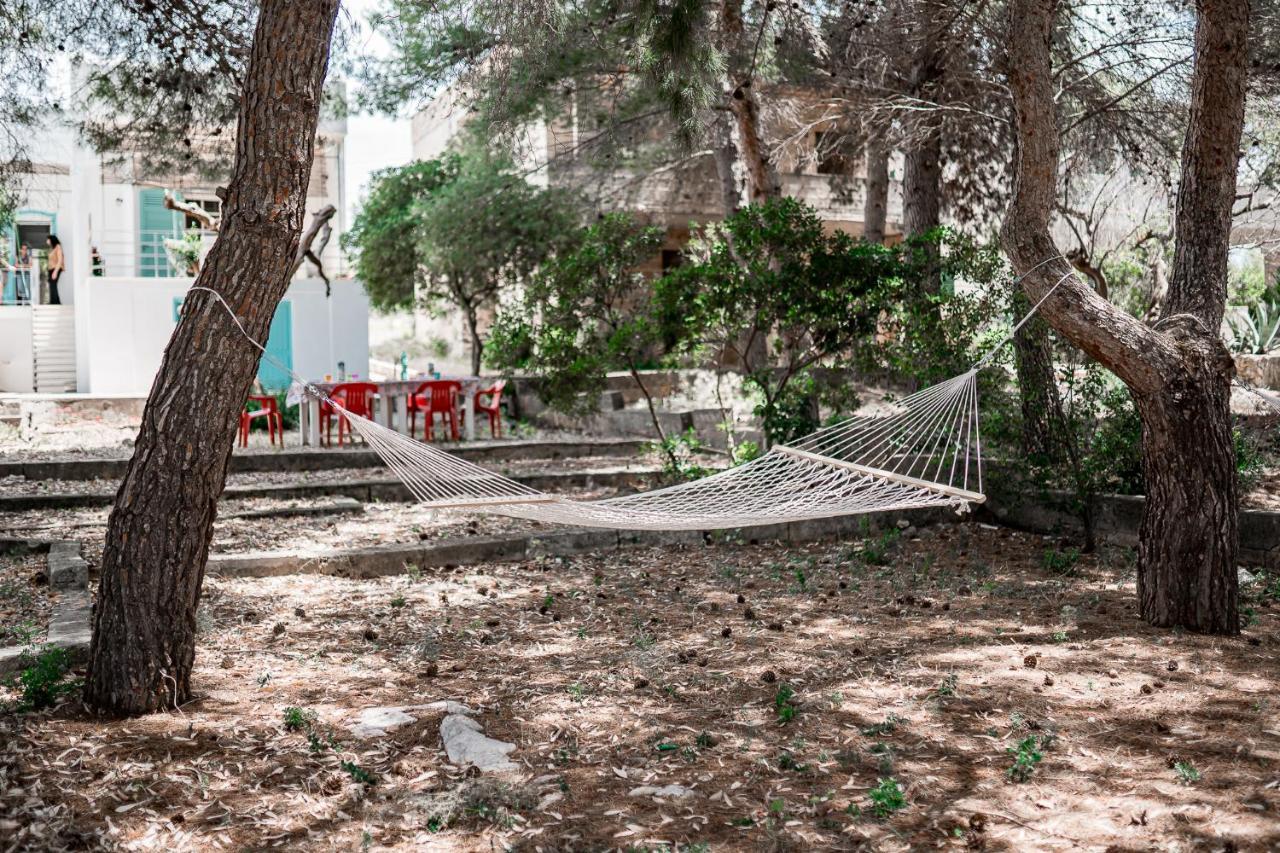 Villa Maria In Puglia Con Pineta Vicino Al Mare Torre Suda Exterior photo