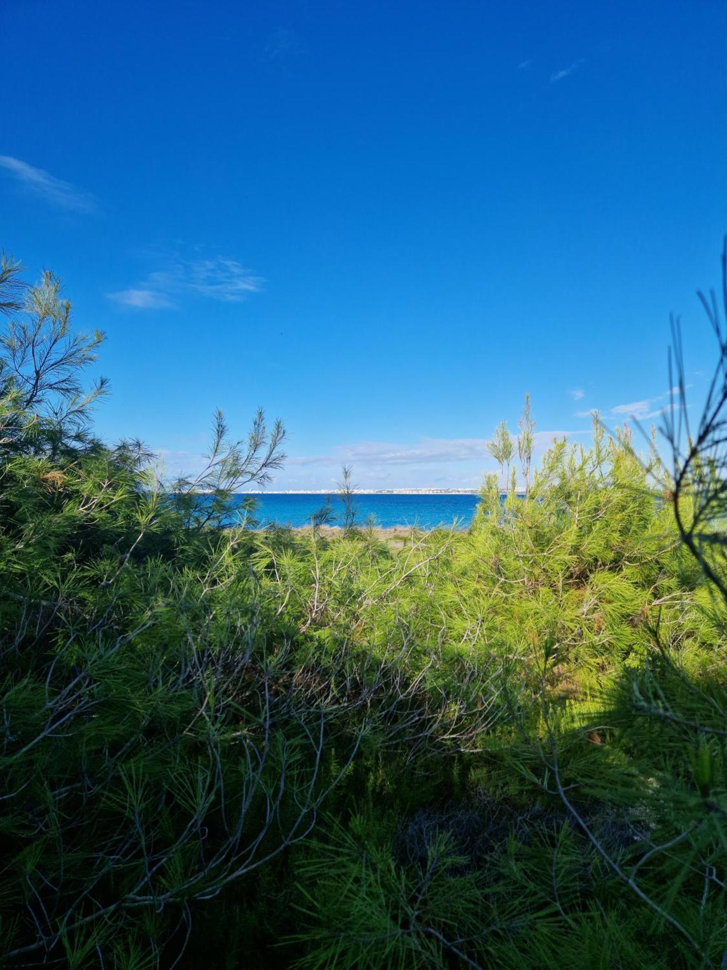 Villa Maria In Puglia Con Pineta Vicino Al Mare Torre Suda Exterior photo
